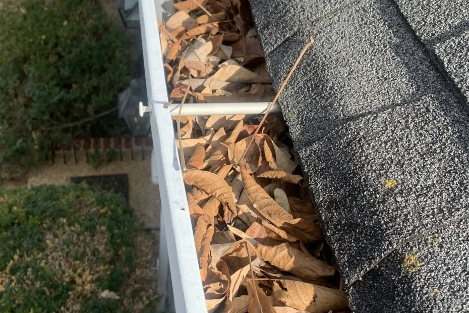 Gutter Cleaning Jenks